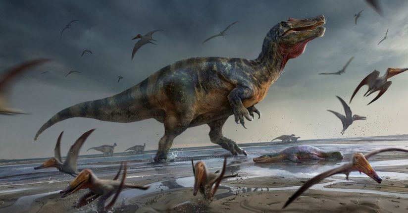 Cientistas acham restos do maior carnívoro que já existiu na Europa