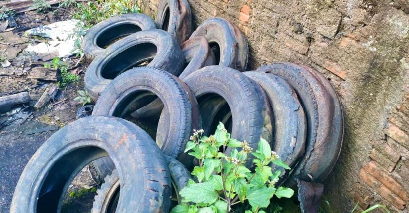 Mutirão contra dengue acontece neste sábado no bairro Imigrantes em Guaramirim Mutirão contra dengue acontece neste sábado no bairro Imigrantes em Guaramirim