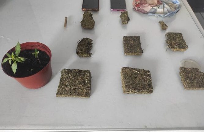 Homem é preso por tráfico e jovem detido por posse de drogas em Jaraguá do Sul Homem é preso por tráfico e jovem detido por posse de drogas em Jaraguá do Sul