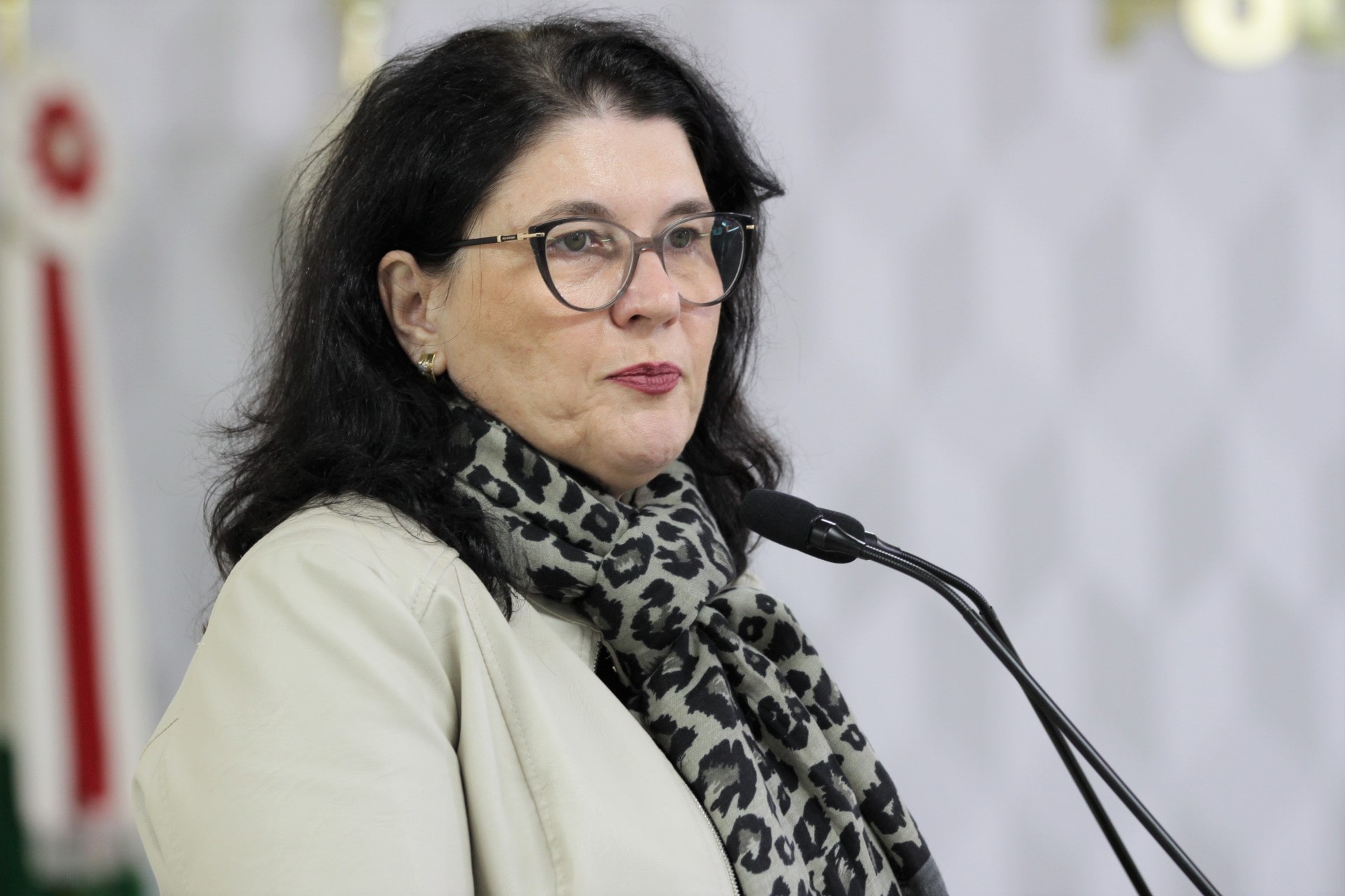 Alfabetização para idosos é solicitada no Legislativo jaraguaense por meio de indicação