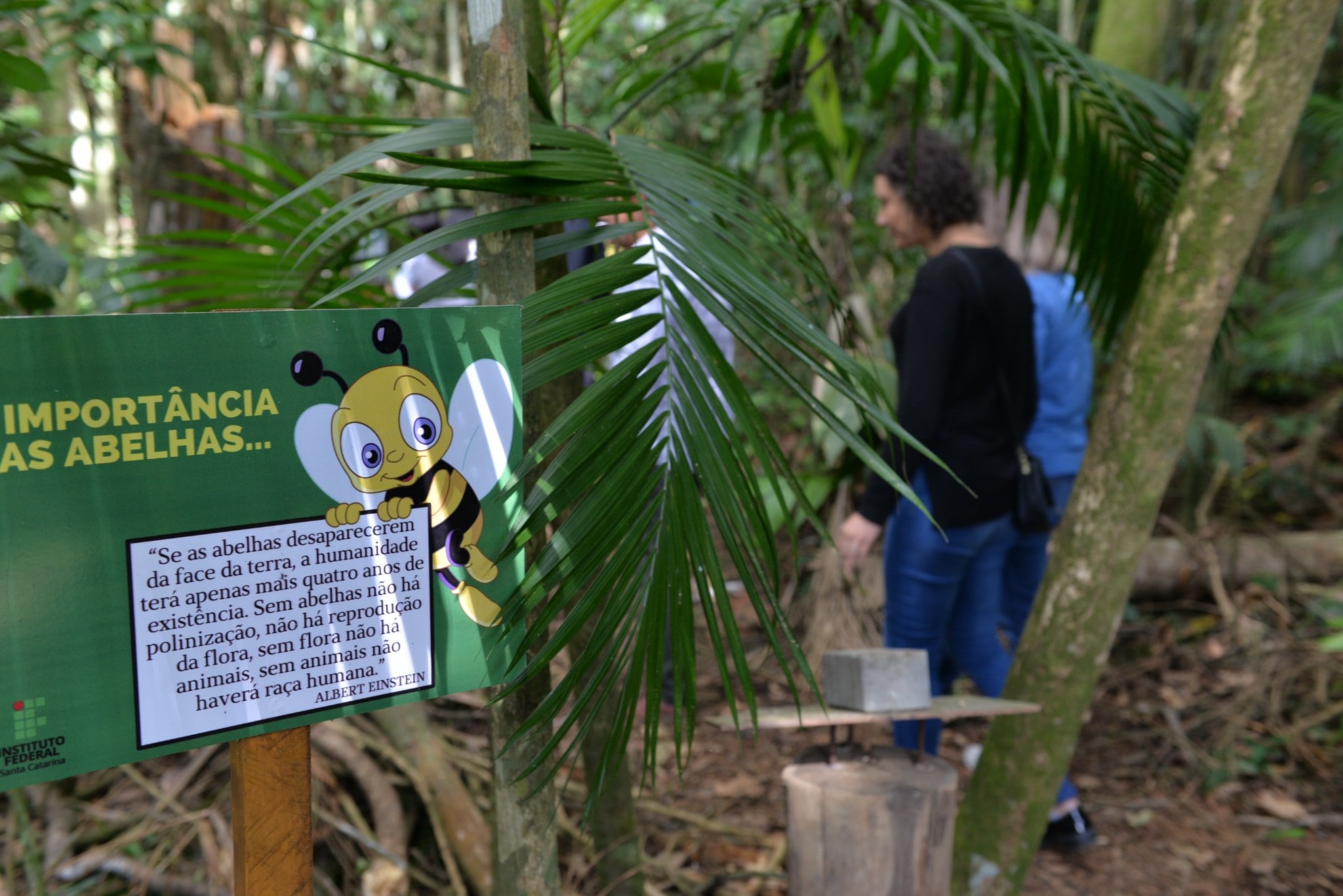 Campus IFSC do Rau abre a EcoTrilha Mata Atlântica