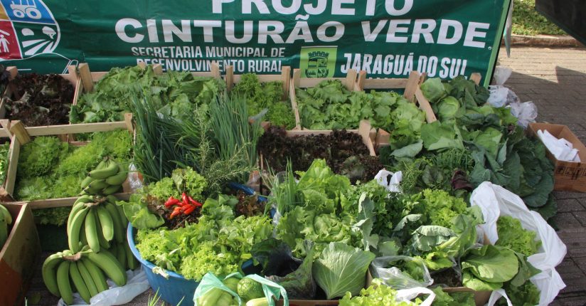 Hortas comunitárias, um programa vitorioso e cada vez mais crescente em Jaraguá do Sul