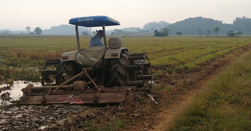 Secretaria de Agricultura e Pecuária fica fechada nos dias 14 e 15 em Guaramirim Secretaria de Agricultura e Pecuária fica fechada nos dias 14 e 15 em Guaramirim