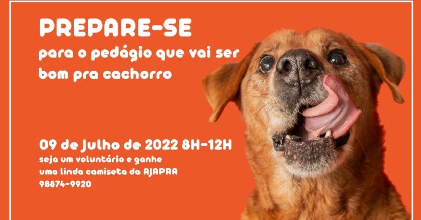 Ajapra realiza pedágio em prol da causa animal neste sábado Ajapra realiza pedágio em prol da causa animal neste sábado