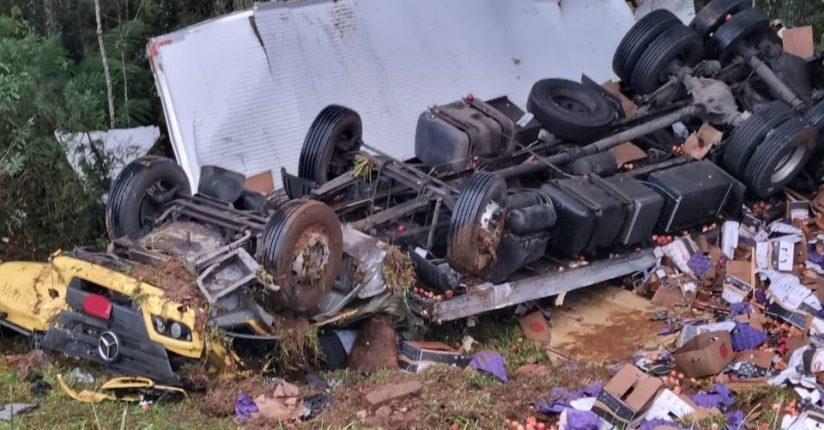 Homem morre após sair de pista e bater contra árvore na BR-116 em Santa Cecília Homem morre após sair de pista e bater contra árvore na BR-116 em Santa Cecília