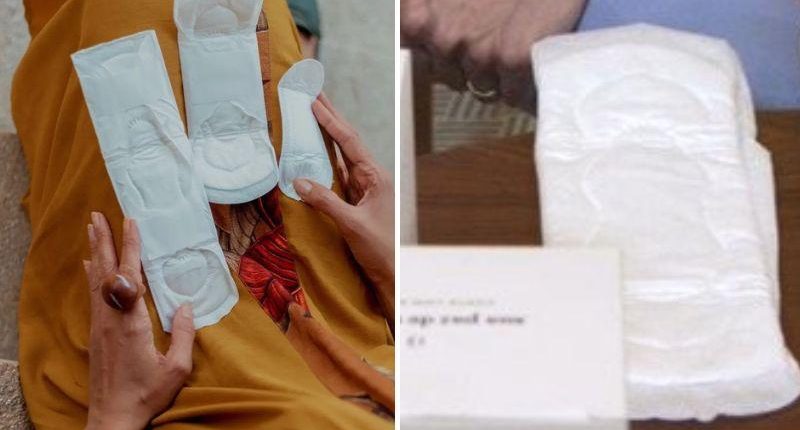 Brasileiras criam absorvente orgânico que não provoca alergia Brasileiras criam absorvente orgânico que não provoca alergia