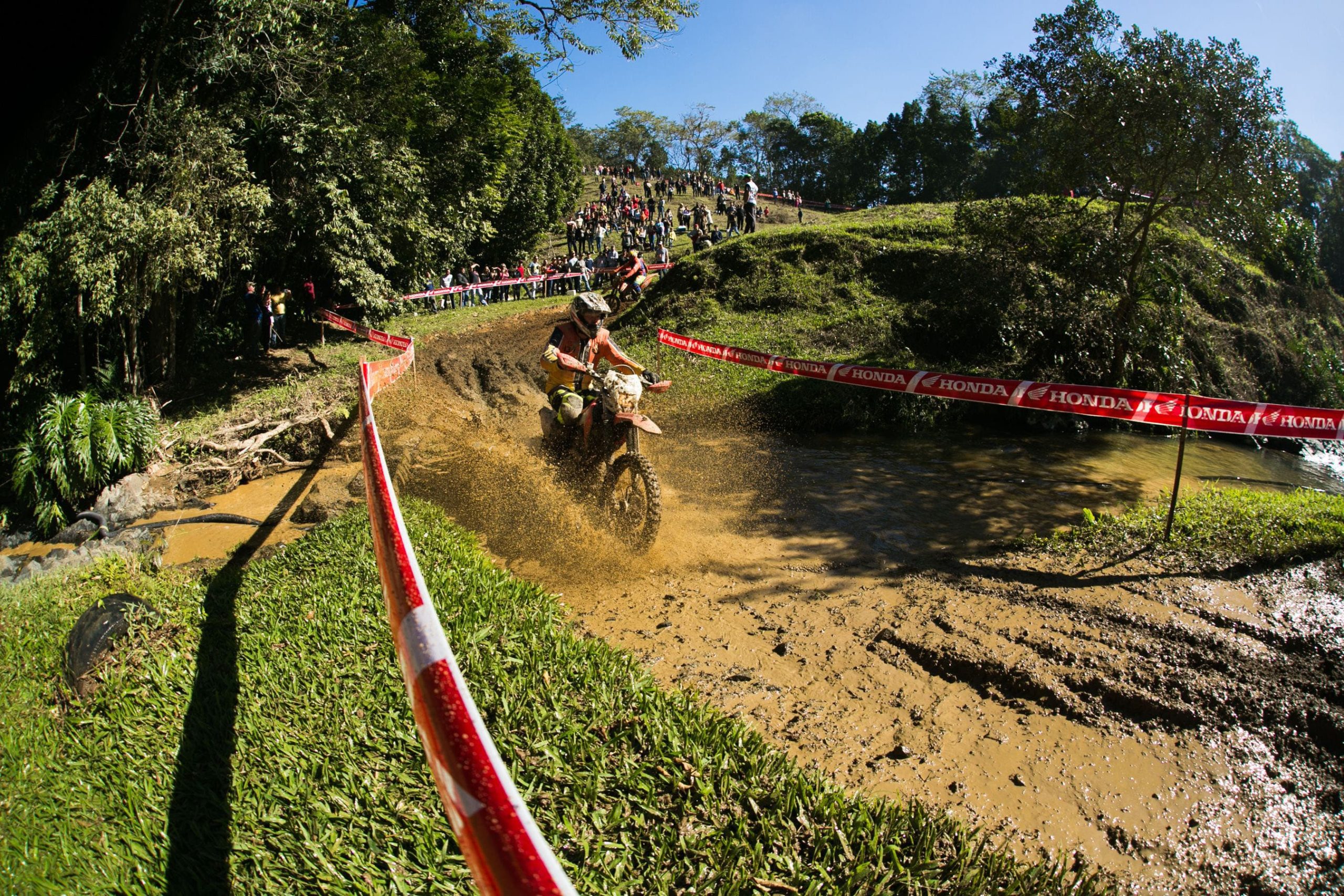 Bananalama começa nesta quinta-feira e busca novo recorde