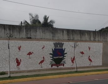 Doze painéis vão integrar o mosaico com história da cidade de Guaramirim