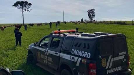 Polícia Civil recupera dez das 44 cabeças de gado furtadas em SC