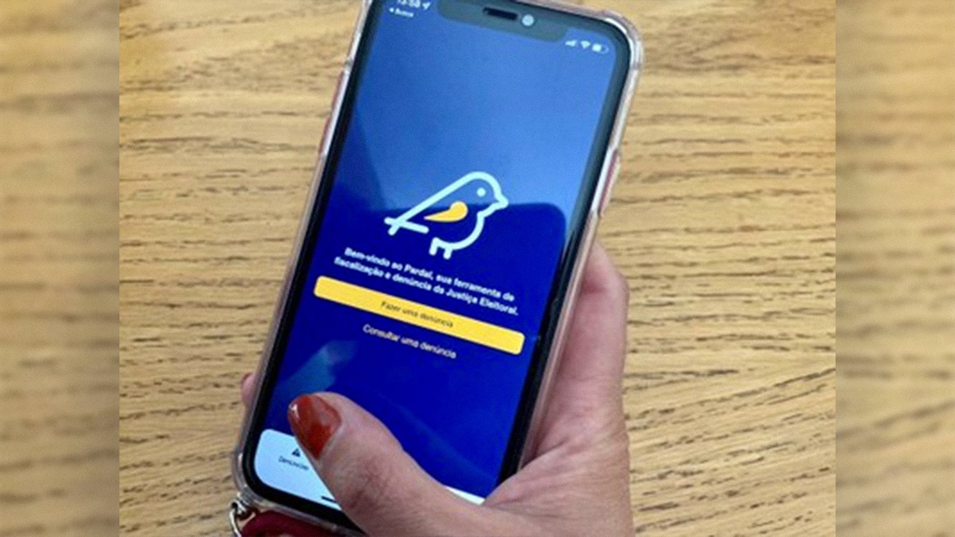 Denúncias de irregularidades na propaganda eleitoral são registradas