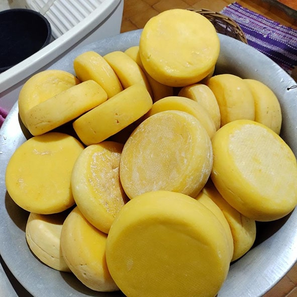 Feira Sabores de Guaramirim terá 65 estandes para venda e degustação