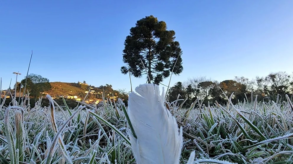 Primeira geada de agosto é registrada em Santa Catarina