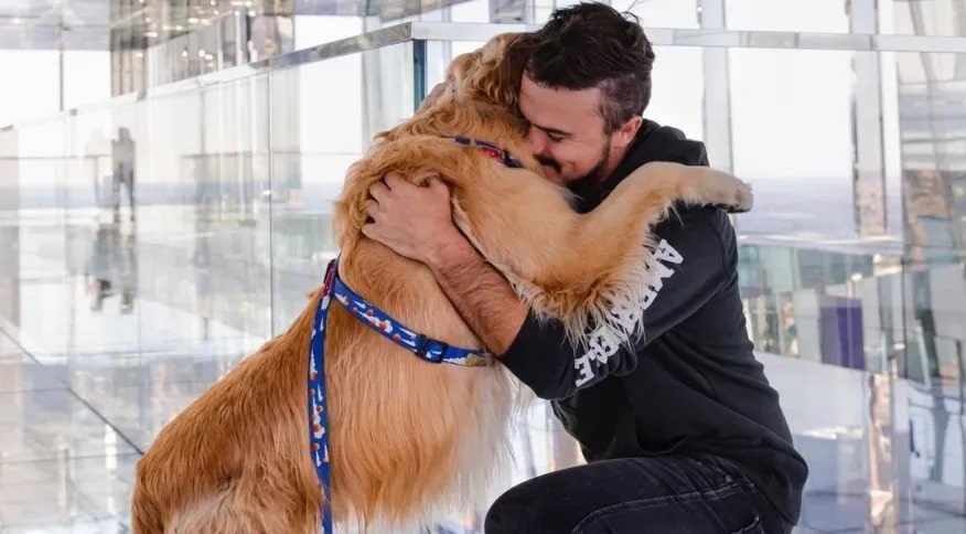 Cinzas de Shurastey chegam ao Brasil 2 meses após morte ao lado de seu tutor nos EUA
