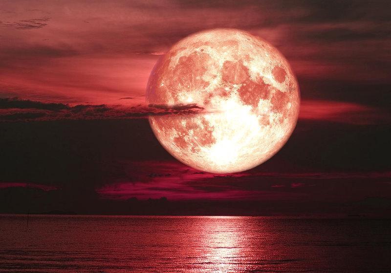 Última superlua do ano aparece no céu na noite desta sexta-feira