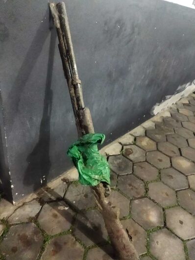 Morre homem atingido por tiro na cabeça em Massaranduba