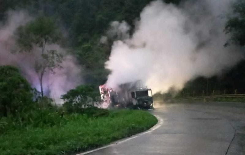 Cavalos morrem carbonizados em incêndio na SC-418, em Joinville