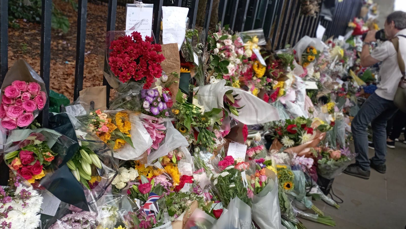 Seguidora registra momentos históricos direto de Buckingham