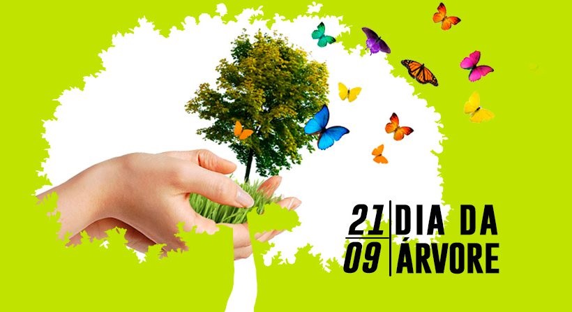 Semana da Árvore terá ecopedágio e palestra sobre a maçaranduba