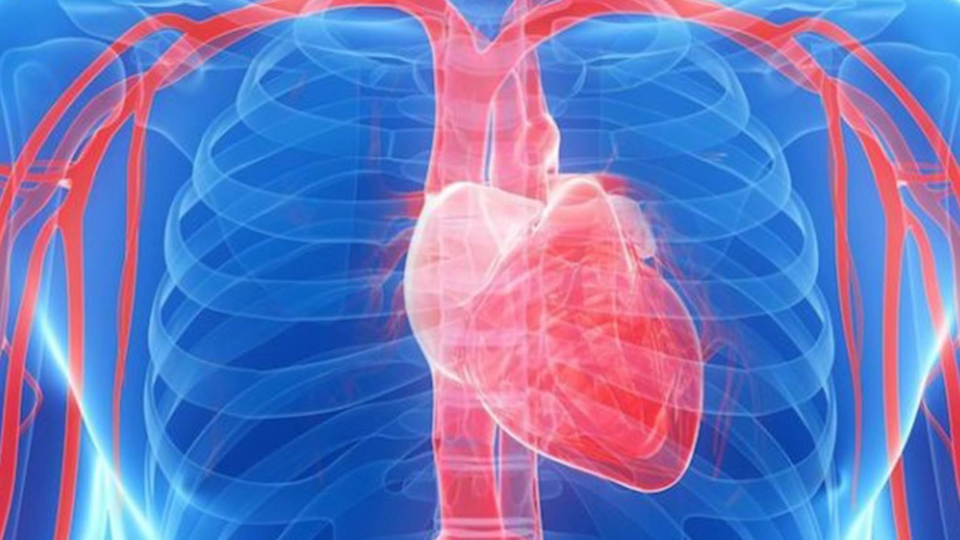 Doenças cardiovasculares lideram a mortalidade no Brasil