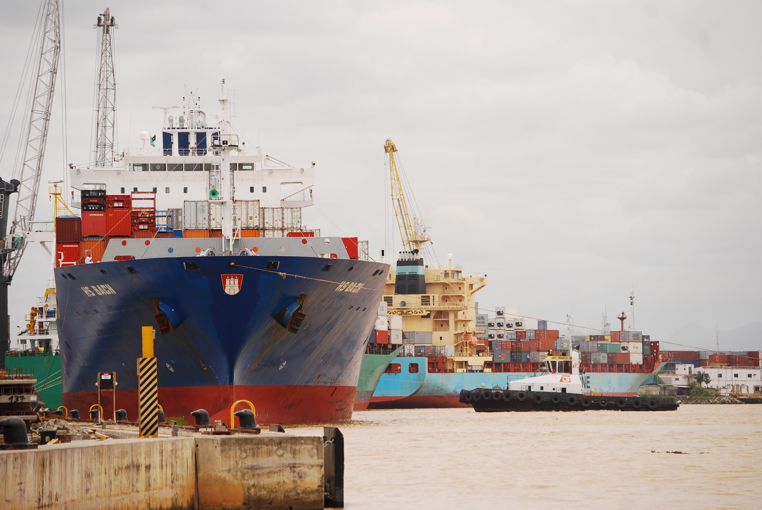 Exportação regional é positiva