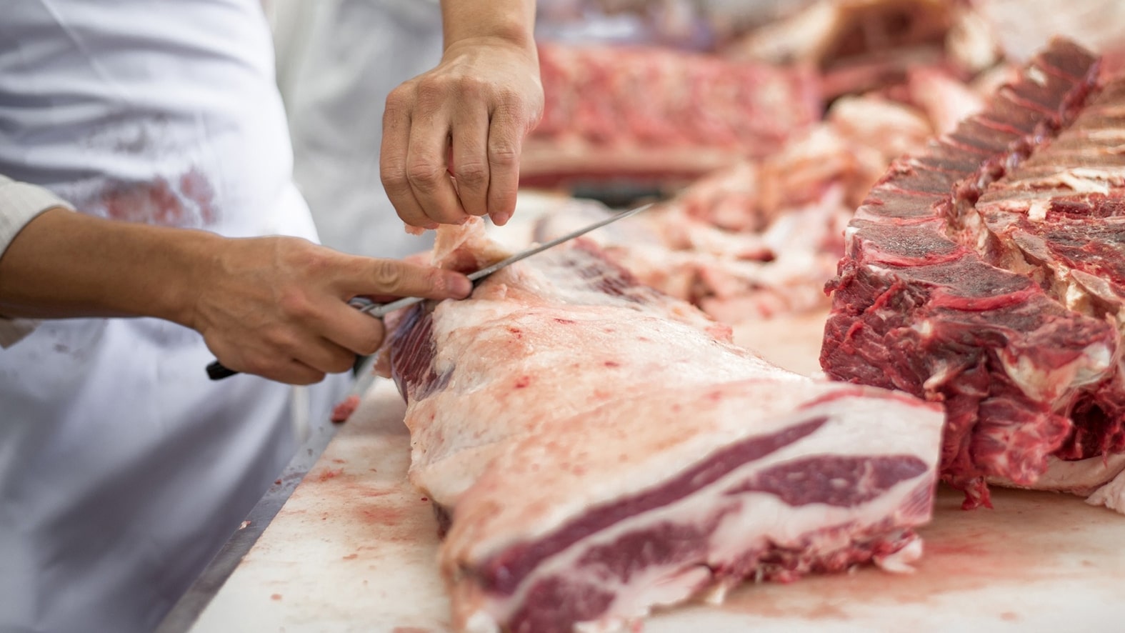 Venda de carne moída terá novas regras a partir de novembro