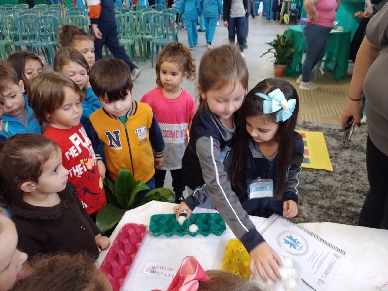 Especial de Educação: V FEMMAT – Feira Massarandubense de Matemática e Tecnologia