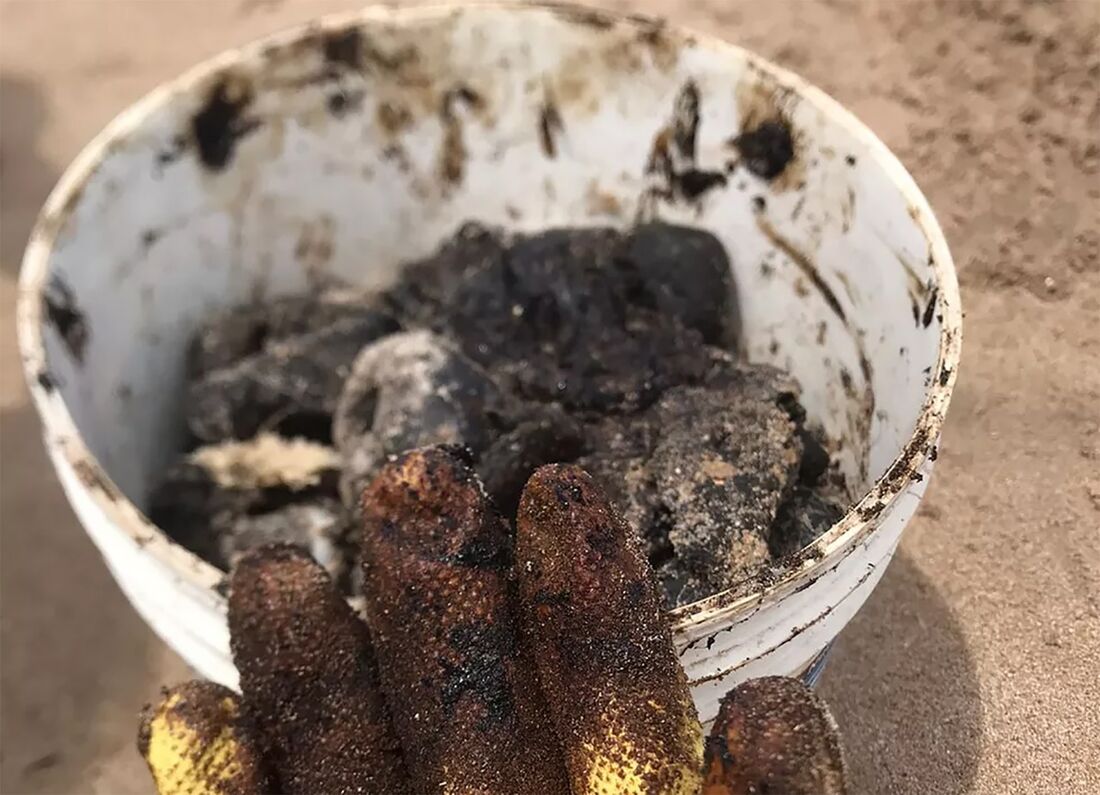 Duas toneladas de óleo são retiradas de praias em Pernambuco