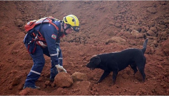 Apoio com binômios (bombeiro militar + cão de busca) na Serra de Guaratuba, BR 376