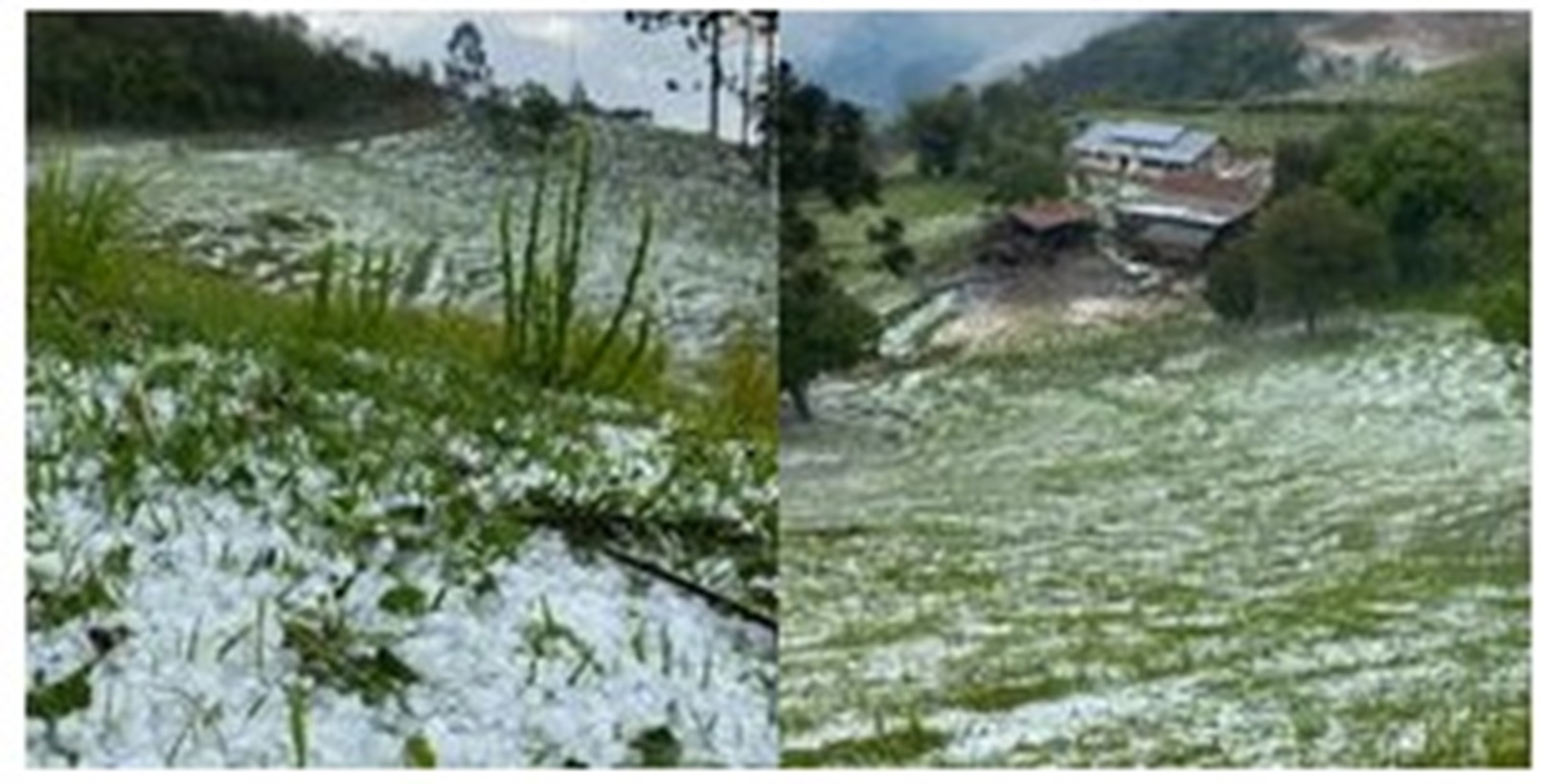 [VÍDEO] – Neve em Dezembro, e no Brasil?