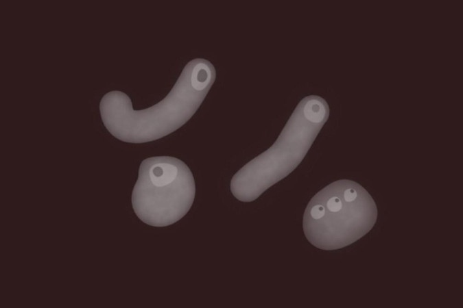 O que são as “minhoquinhas” que vemos ao olhar a luz? Entenda o fenômeno