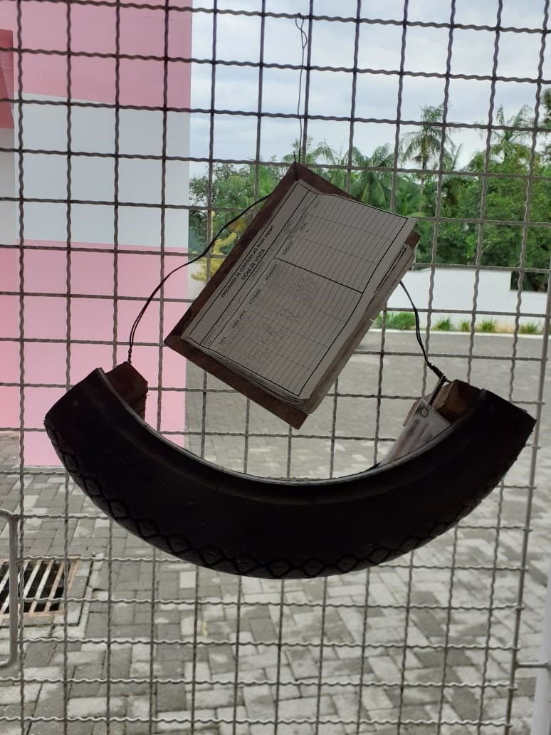 Corupá confirma mais três focos do mosquito da dengue