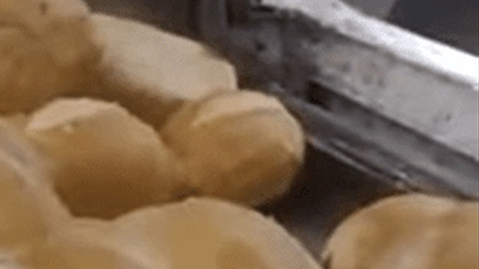 Vídeo: Rato é flagrado fazendo ‘lanche’ dentro de estufa de pães de supermercado