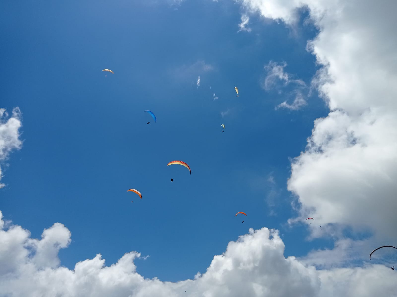 Voo Livre: Em casa, Caio Busarello vence a etapa de abertura do Campeonato Catarinense