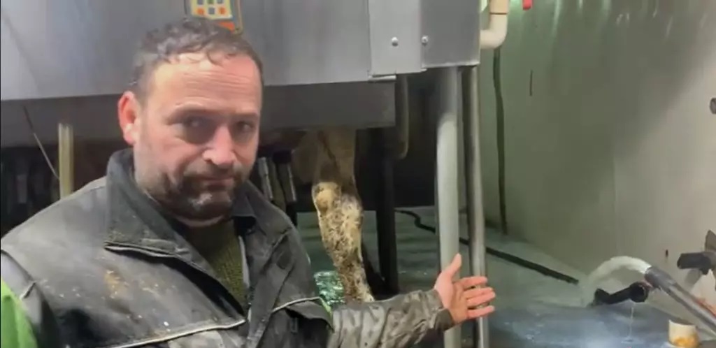 Governo obriga produtor a jogar no esgoto 30.000 L de leite, assista o vídeo