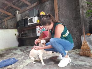 Santa Catarina - Jaraguá do Sul apresentou três casos de raiva em animais