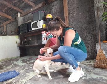 Santa Catarina Registra o Sétimo Caso de Raiva em Animais em 2023, Alertando para Riscos Mortais