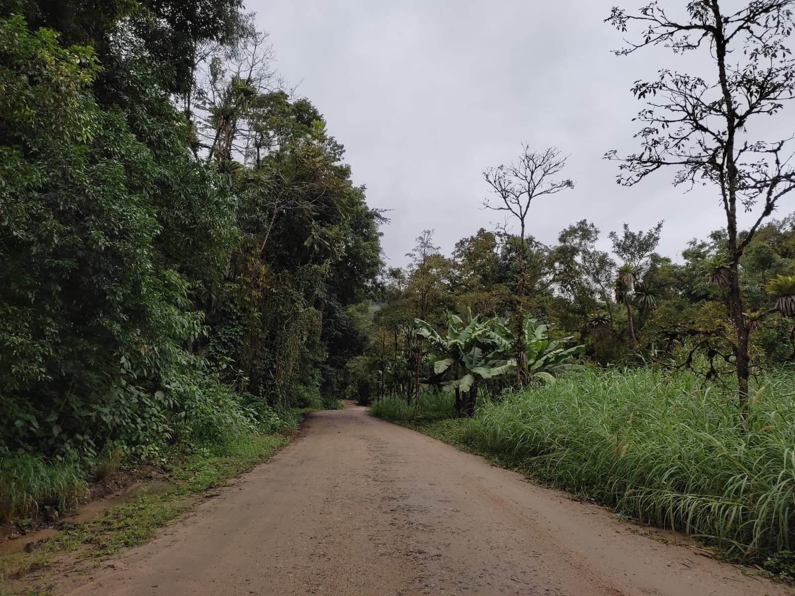 Autorizada a licitação para a pavimentação da Rota das Cachoeiras