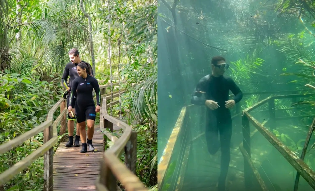 Trilha fica submersa por rio de águas cristalinas em MS; veja antes e depois