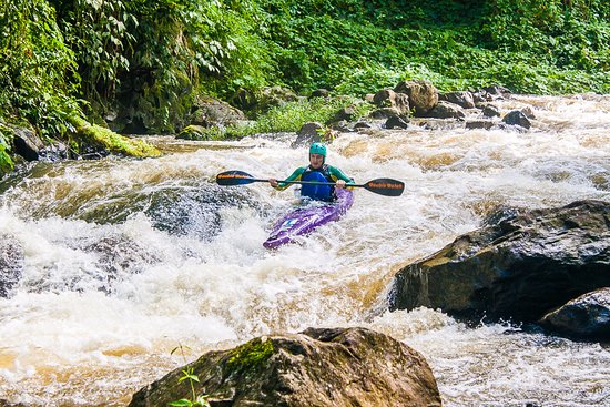 Suíço e remada radical em Schroeder