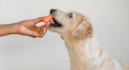 ALIMENTOS
