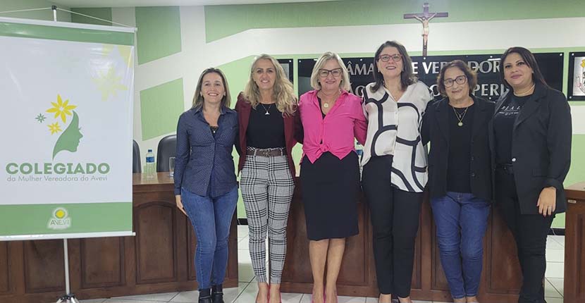 Vereadoras mobilizam as mulheres para participar da política