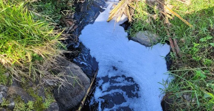 Fujama investiga casos de poluição ambiental no Rio Cerro e Itapocu 