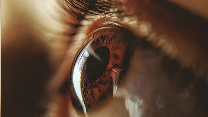 Ativação de células dormentes da retina pode devolver visão perdida