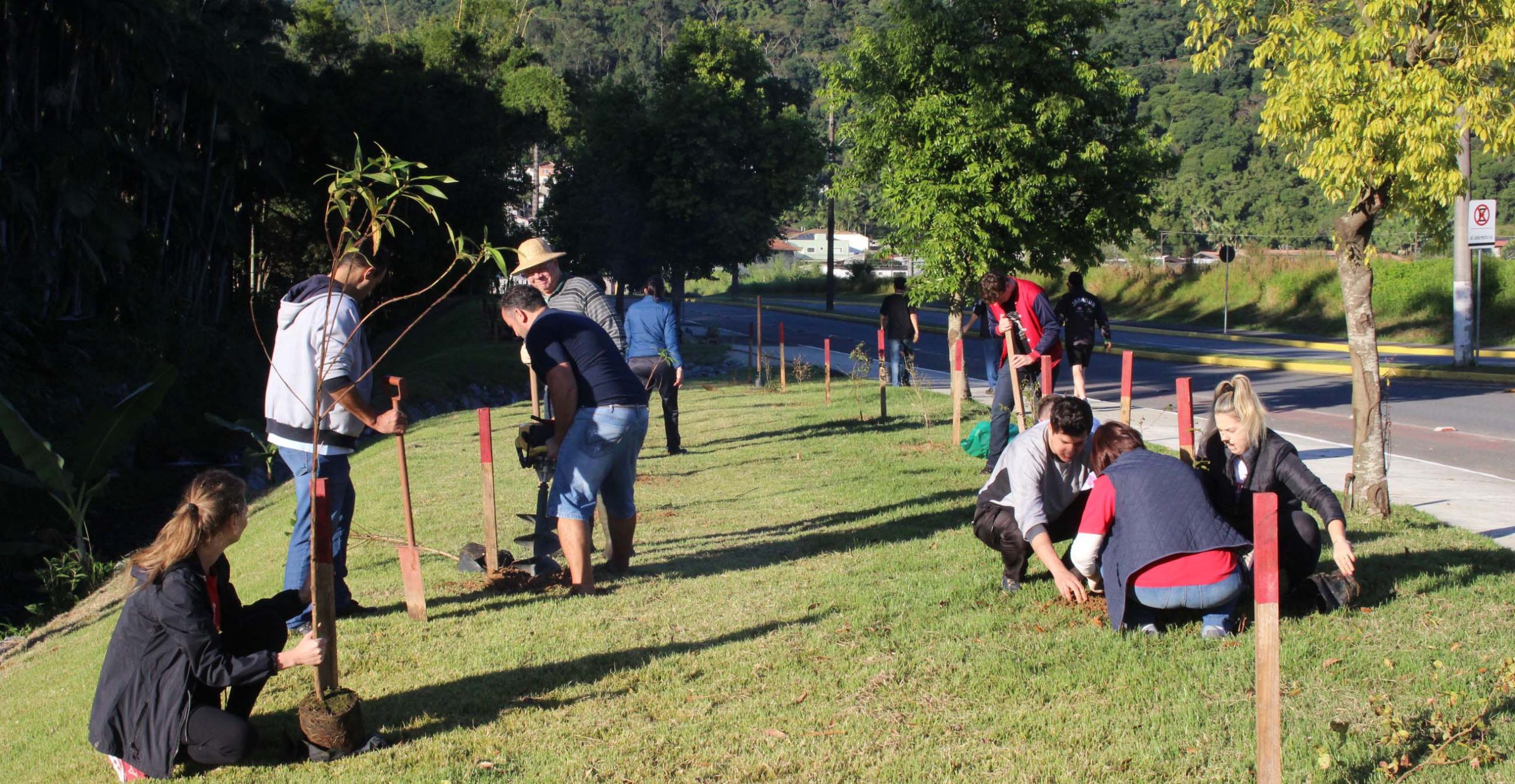 Rotary Jaraguá planta 100 árvores pelo centenário do clube no Brasil