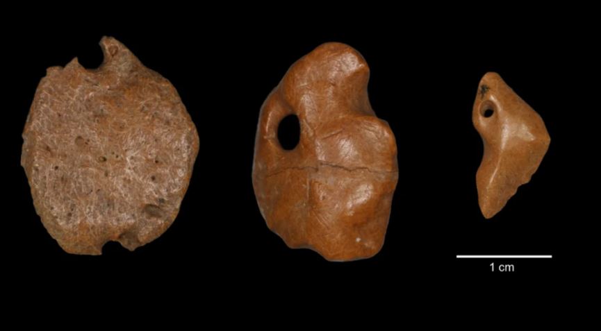 Ossos de preguiça gigante provam que humanos chegaram no Brasil há 25 mil anos