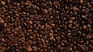 12 sobras de alimentos para deixar suas plantas mais bonitas