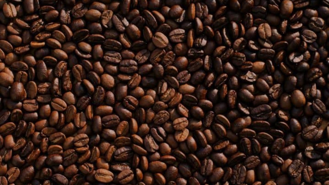 12 sobras de alimentos para  deixar suas  plantas mais bonitas