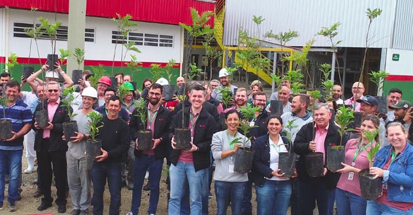 Plantio de mudas de maçaranduba lembra os 55 anos da Juriti