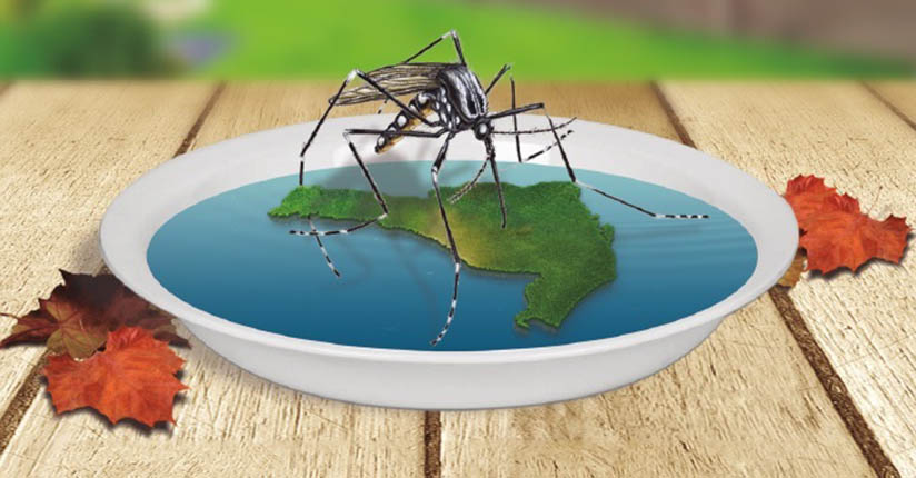 SC tem mais de 96 mil casos de dengue confirmados este ano