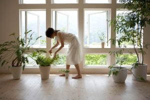 Leia- e- não- deixe- de- ter- arruda -em -sua -casa!-03-14-09-2023